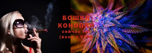 трава Арсеньев