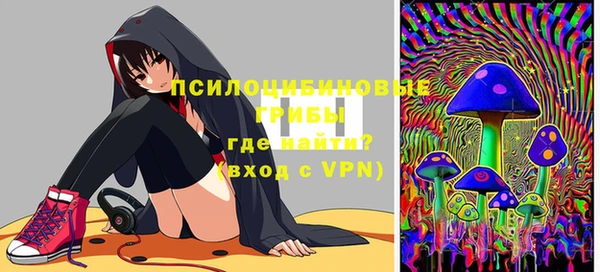 шишки Михайловка