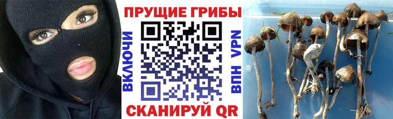 mega ссылки  закладки  Октябрьский  Псилоцибиновые грибы прущие грибы 