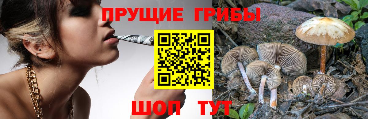 Псилоцибиновые грибы Magic Shrooms Октябрьский