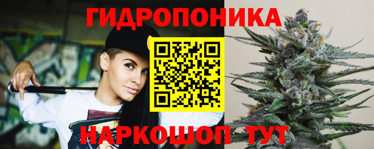 Бошки Шишки гибрид  Октябрьский  Бошки Шишки AK-47  Бошки Шишки SATIVA & INDICA 